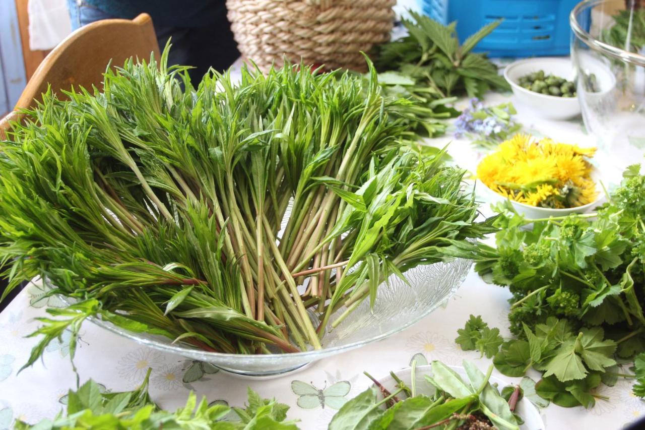 Overvoll Farm Stranda  Ngoại thất bức ảnh